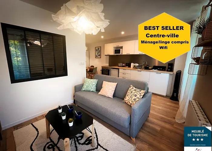 Au Coeur De Castres, Logement Cosy Classe 3***